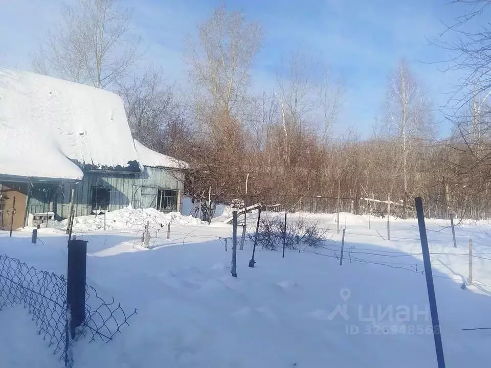 Участок в Новосибирская область, Новосибирск Мир-2 СТ, ул. 5-я (1066.0 ... - Фото 2