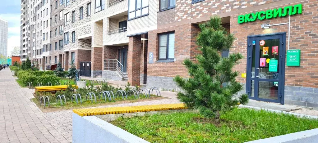 Студия Санкт-Петербург Пискаревский просп., 25к2 (22.4 м) - Фото 1