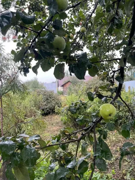 Участок в Свердловская область, Екатеринбург Родничок-5 СНТ, ул. ... - Фото 1