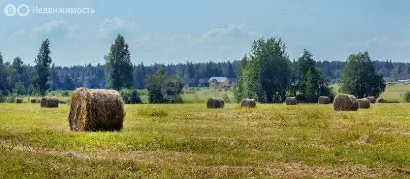 Участок в Пениковское сельское поселение, коттеджный посёлок Услада ... - Фото 1