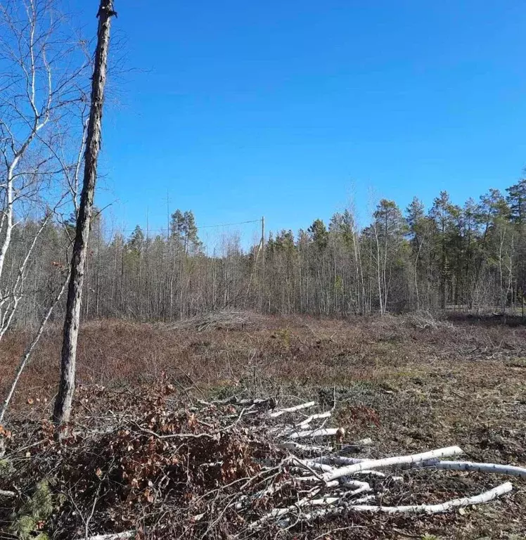 Участок в Саха (Якутия), Мегино-Кангаласский улус, Нижний Бестях пгт ... - Фото 1