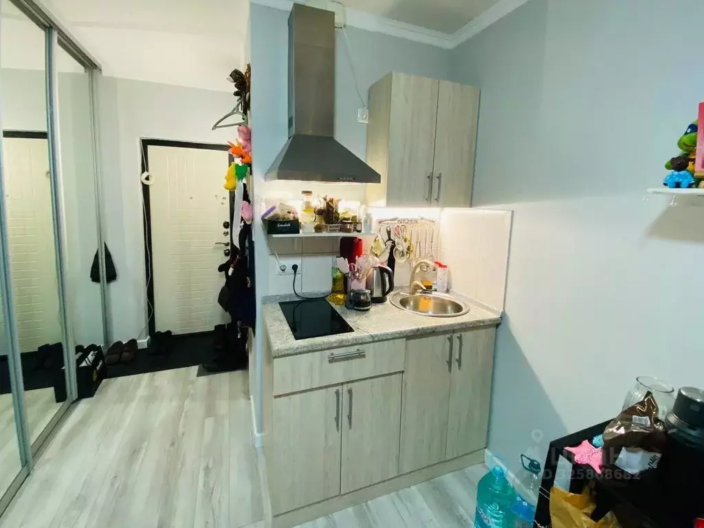 Студия Москва Новороссийская ул., 25К1 (18.0 м) - Фото 2