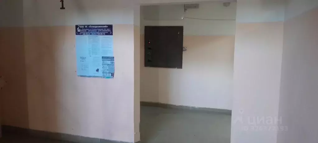 Свободной планировки кв. Новосибирская область, Новосибирск ул. ... - Фото 1