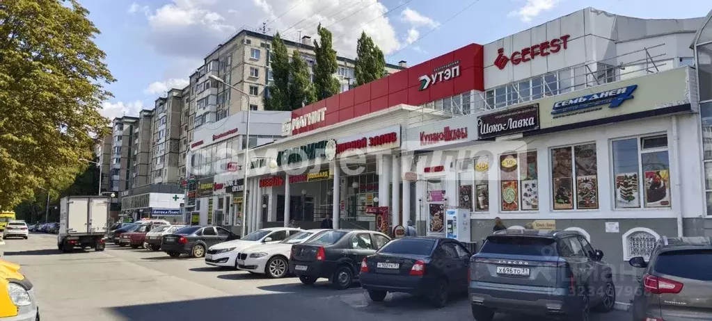 Торговая площадь в Белгородская область, Белгород ул. Губкина, 25А ... - Фото 1