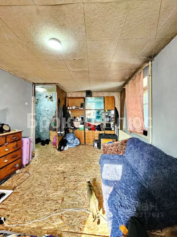 1-к кв. Тыва, Кызыл ул. Кочетова, 139 (29.0 м) - Фото 2