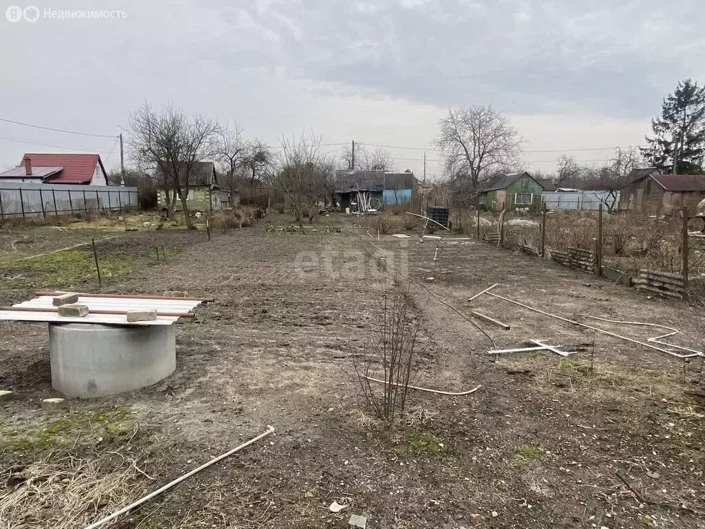 Участок в Калининград, СНТ Дружба-2 (6 м) - Фото 0