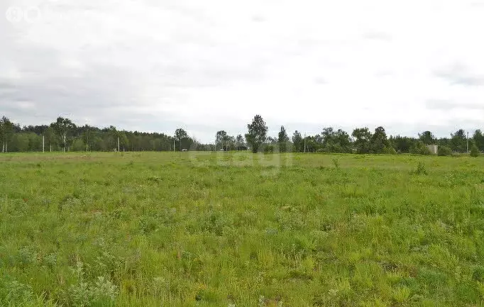 Участок в Ярославская область, рабочий посёлок Некрасовское (12 м) - Фото 2