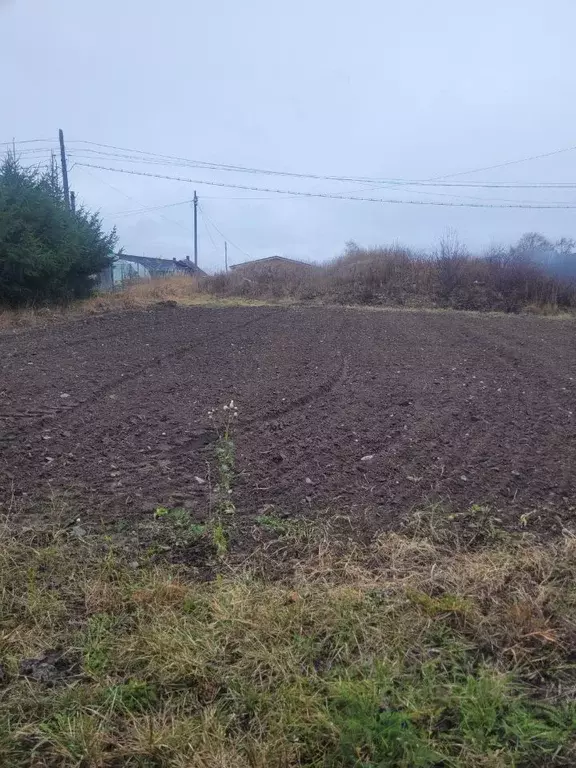 Участок в Карелия, Прионежский район, с. Заозерье, Тихий Наволок кв-л  ... - Фото 0