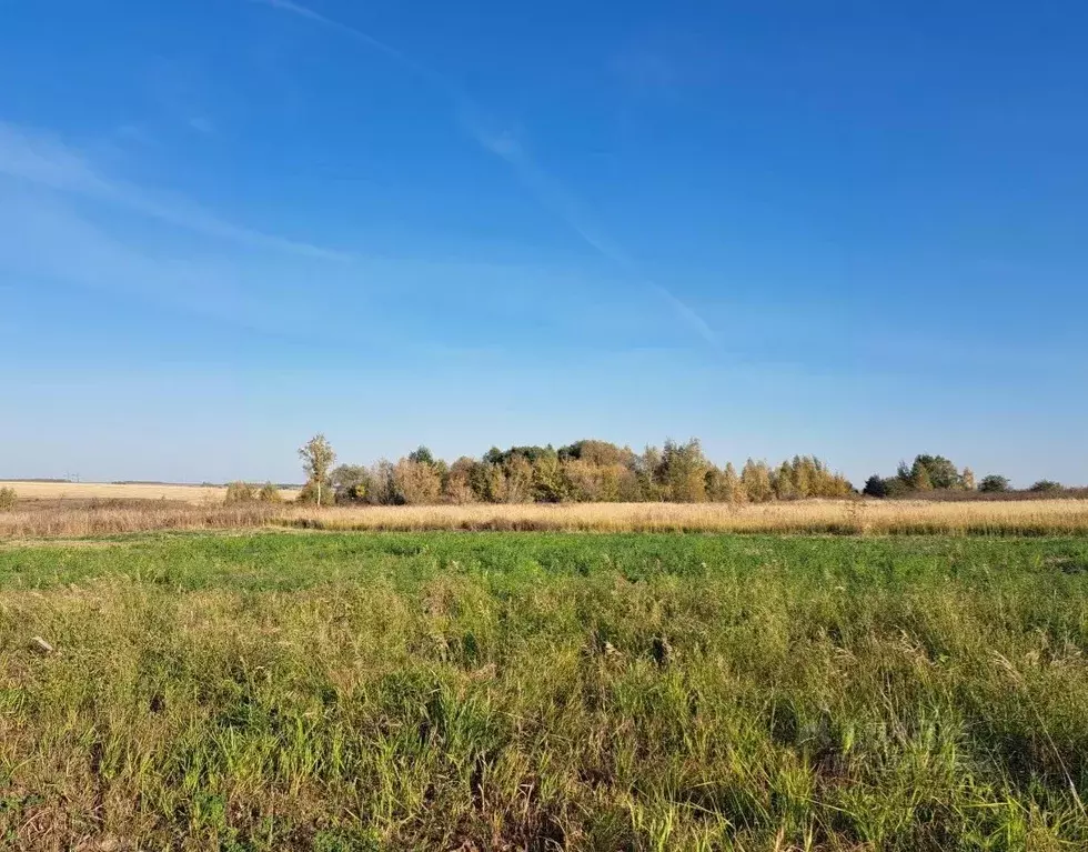 Участок в Московская область, Кашира городской округ, д. Никулино  ... - Фото 0