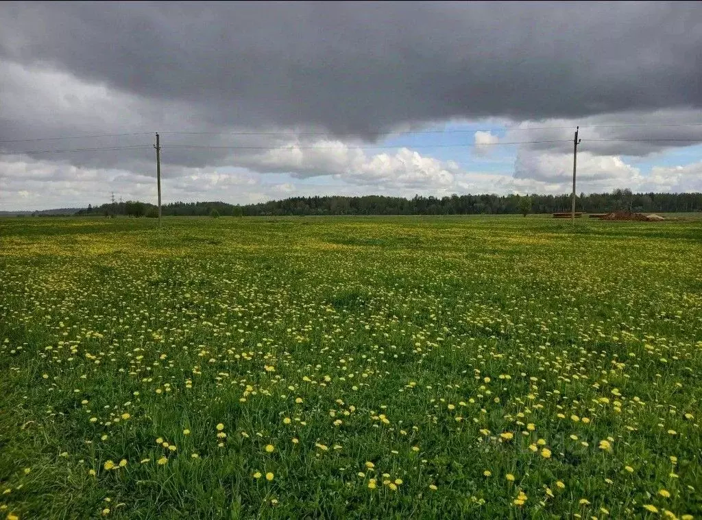 Участок в Ленинградская область, Волосовский район, Рабитицкое с/пос, ... - Фото 1