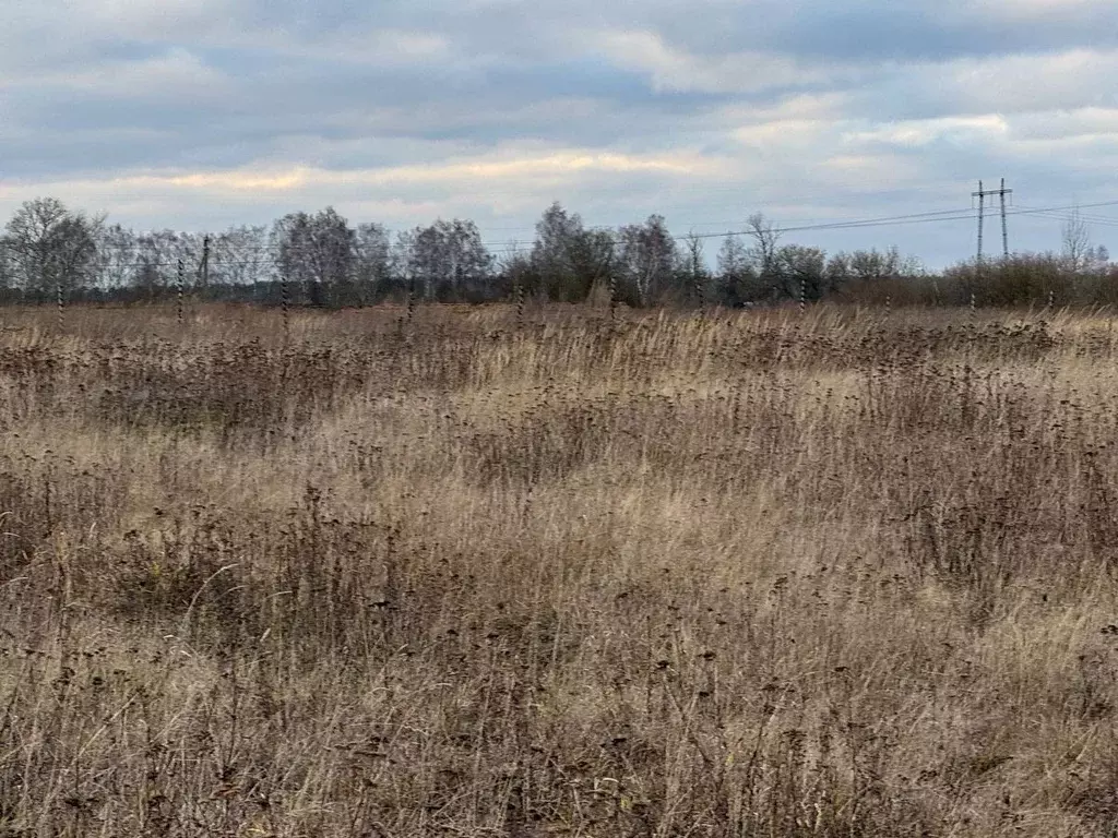 Участок в Московская область, Богородский городской округ, д. Зубцово  ... - Фото 0