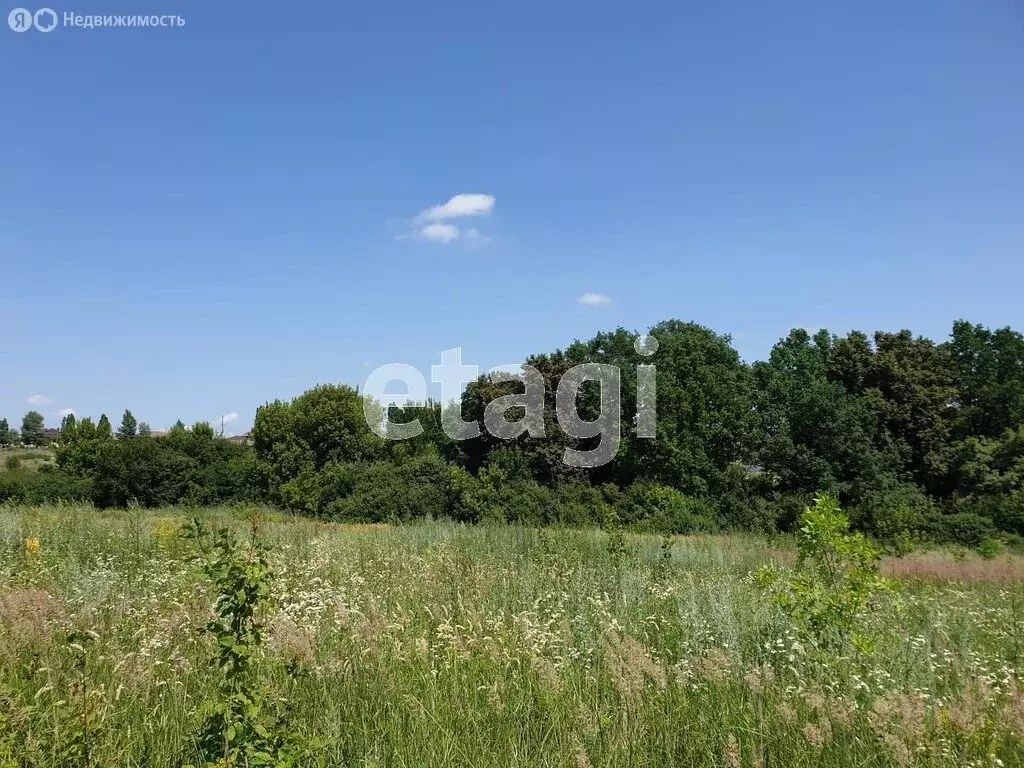 Участок в село Шагаровка, Черничная улица (15.7 м) - Фото 1