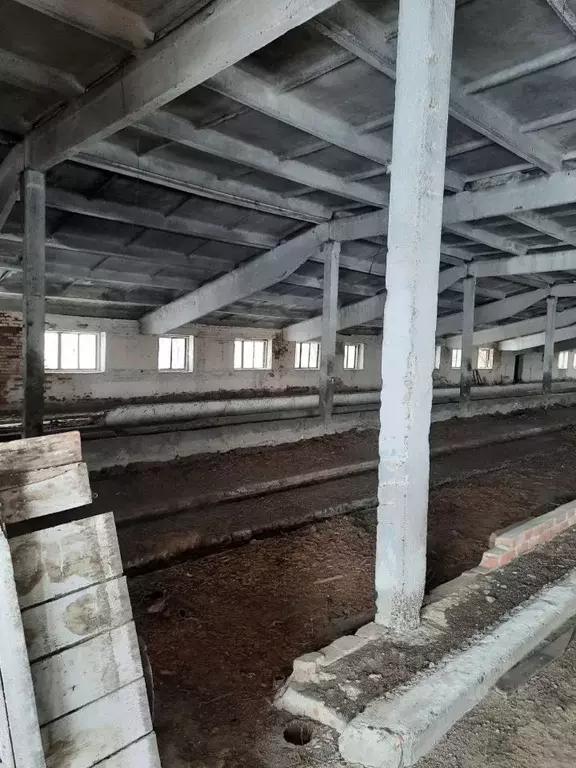 Производственное помещение в Краснодарский край, Староминский район, ... - Фото 2