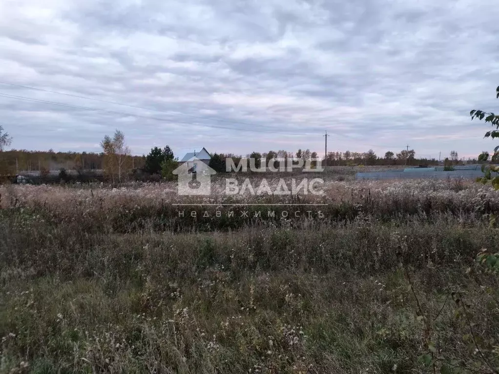 Участок в Омская область, Омский район муниципальный округ, д. ... - Фото 1