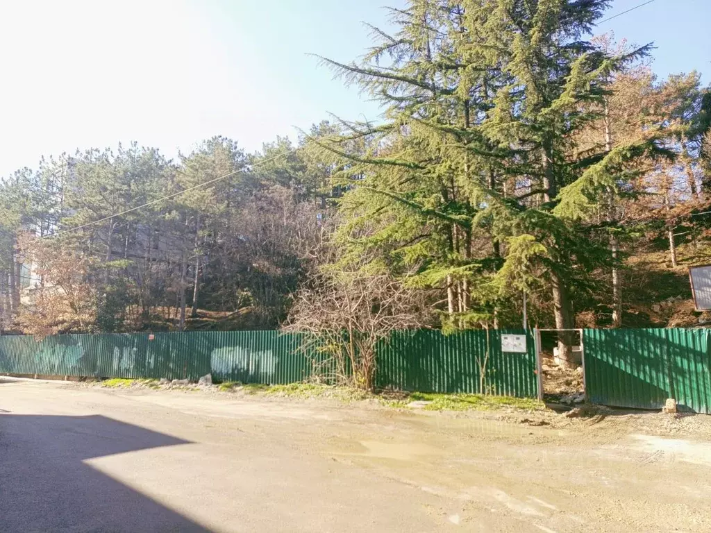 Участок в Крым, Ялта ш. Южнобережное, 49 (10.0 сот.) - Фото 1