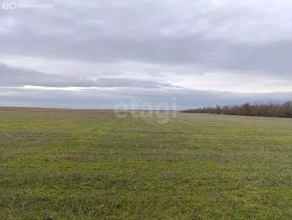 Участок в Симферопольский район, село Перово (857.13 м) - Фото 2