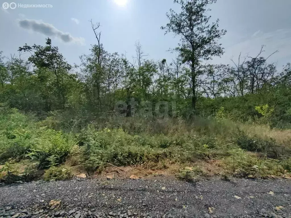 Участок в Родионово-Несветайский район, Кутейниковское сельское ... - Фото 1
