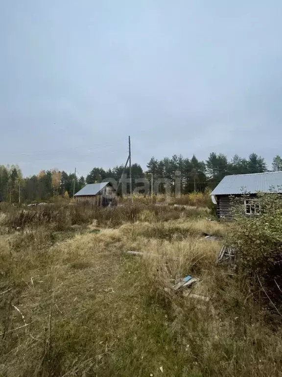 Участок в Архангельская область, Котласский муниципальный округ, пос. ... - Фото 1
