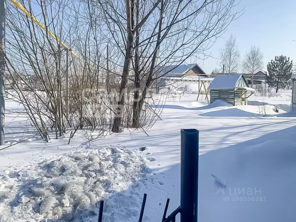 Участок в Кемеровская область, Кемеровский район, с. Андреевка Новая ... - Фото 0