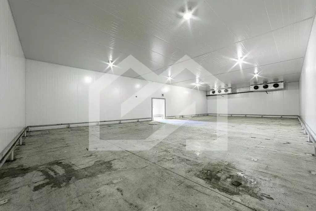 Помещение свободного назначения в Московская область, Раменское ул. ... - Фото 1