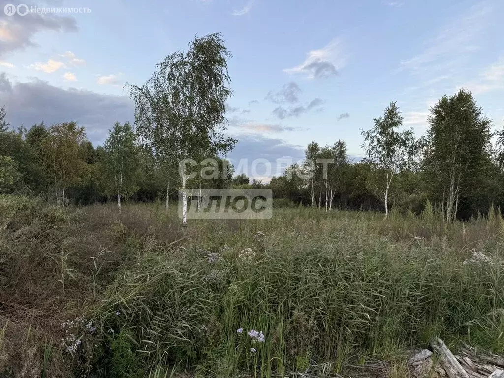 Участок в Тюмень, садоводческое некоммерческое товарищество Матрёшка ... - Фото 1
