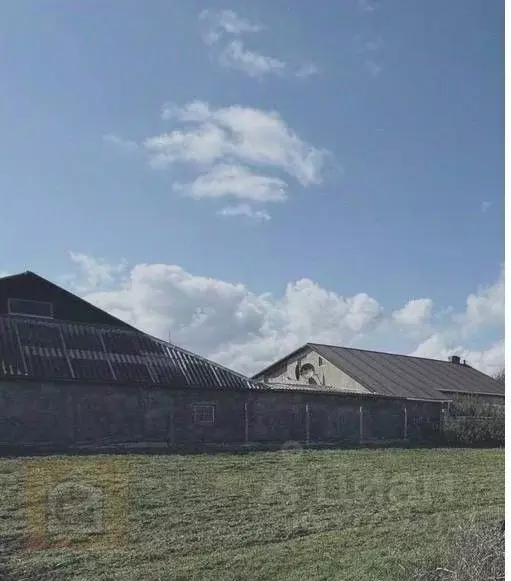 Дом в Крым, Сакский район, с. Веселовка ул. Новая, 65 (47 м) - Фото 2