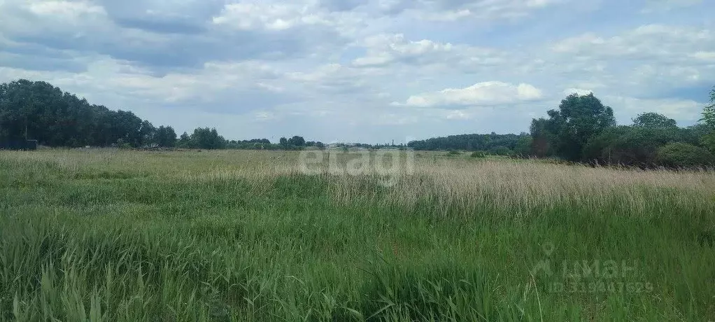 Участок в Воронежская область, с. Новая Усмань  (8.0 сот.) - Фото 1