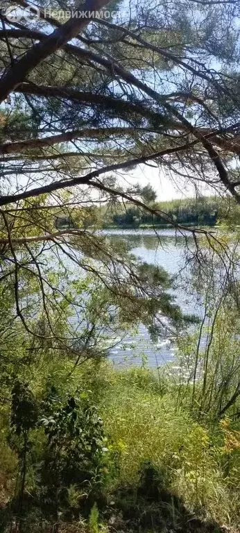 Участок в Колыванский район, садоводческое некоммерческое товарищество ... - Фото 0