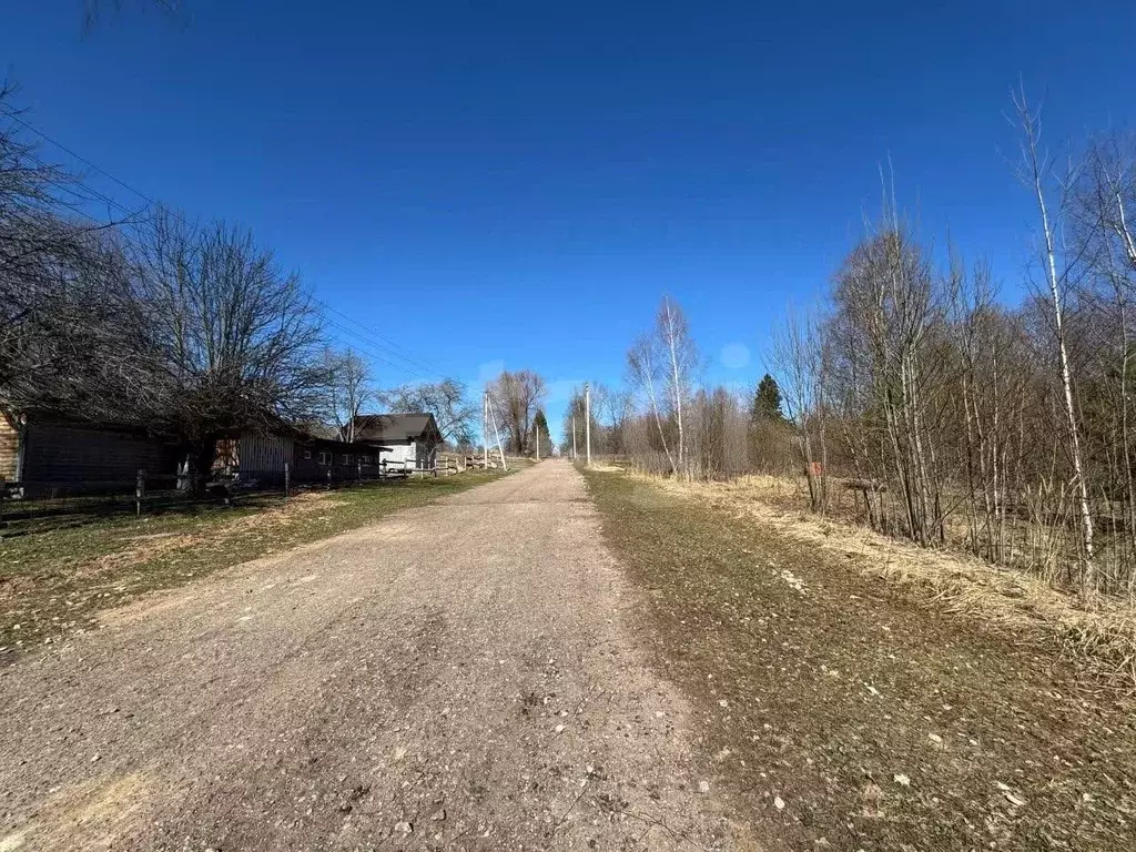 Участок в Смоленская область, Демидовский муниципальный округ, д. ... - Фото 1