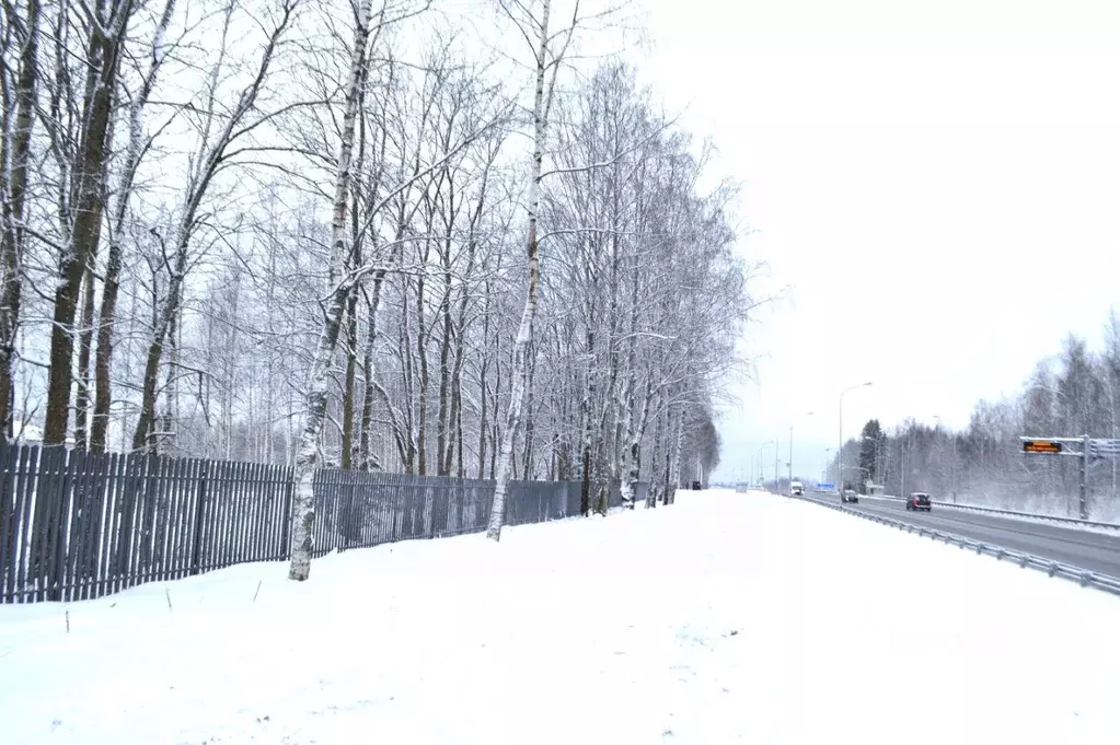 Участок в Ленинградская область, Всеволожский район, Агалатовское ... - Фото 0