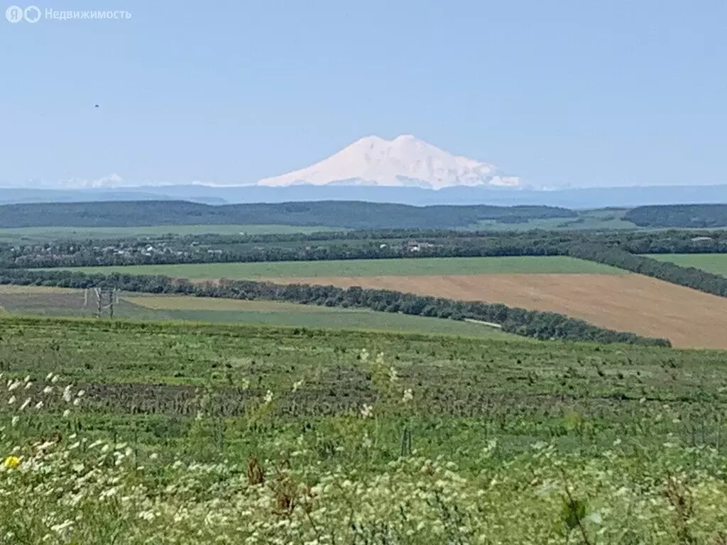 Участок в Ставропольский край, Предгорный муниципальный округ, хутор ... - Фото 2