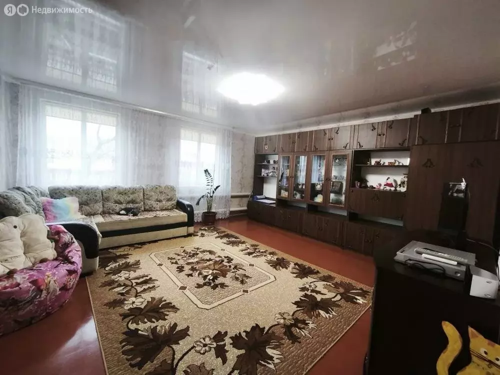 Дом в Омская область, село Нижняя Омка (89.3 м) - Фото 1