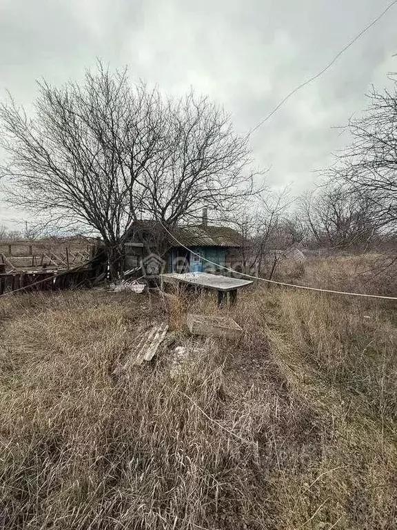 Участок в Волгоградская область, Среднеахтубинский район, Куйбышевское ... - Фото 2