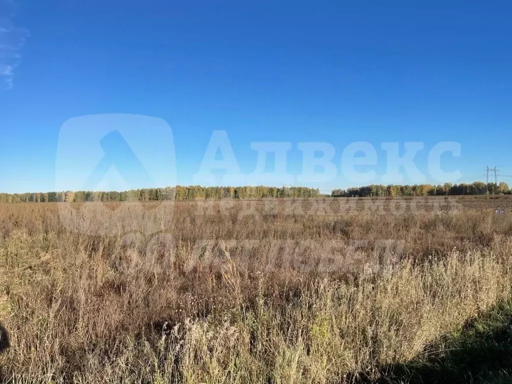 Участок в Тюменская область, Нижнетавдинский муниципальный округ, ... - Фото 0