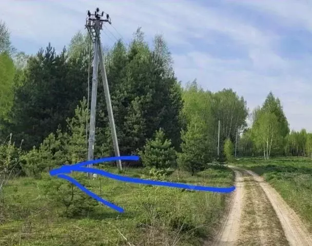 Участок в Владимирская область, Судогодский район, д. Овцыно  (405.0 ... - Фото 2