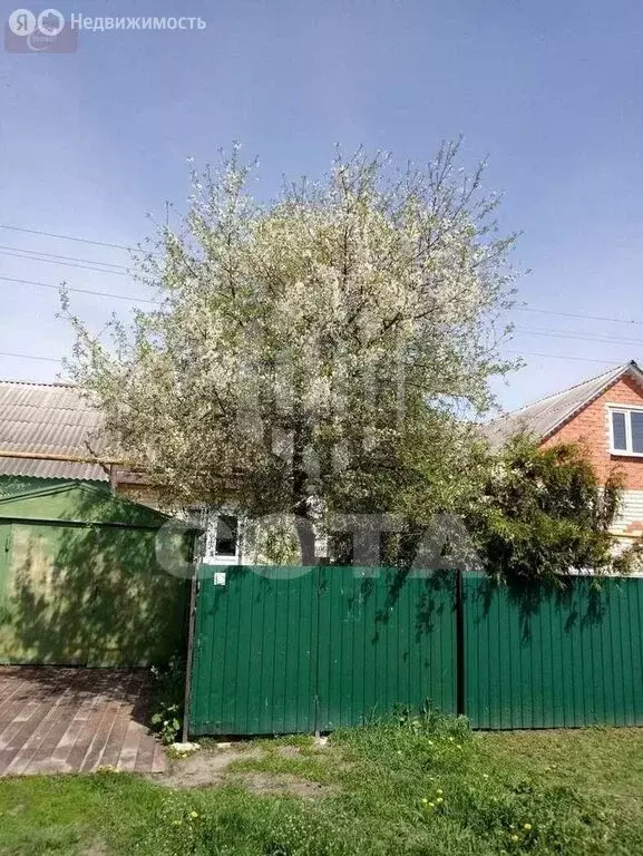 Дом в посёлок совхоза  Воронежский , Советская улица, 25 (28 м) - Фото 1