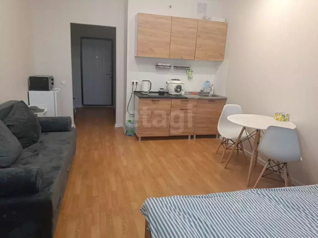 Студия Мордовия, Саранск ул. Анны Лусс, 7В (26.5 м) - Фото 1