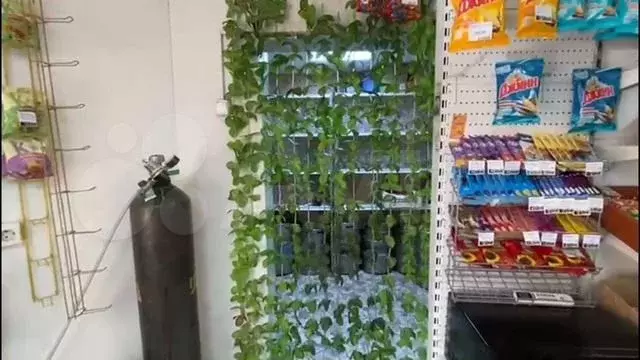 Продуктовый магазин - Фото 1