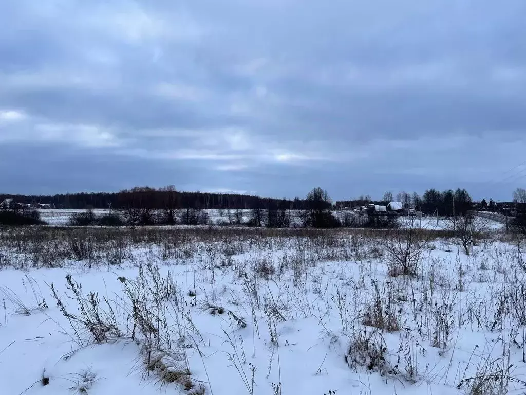 Участок в Московская область, Серпухов городской округ, д. Рыжиково  ... - Фото 0