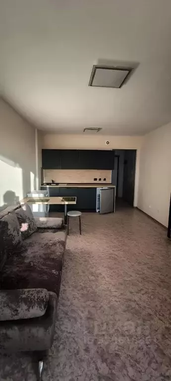 Студия Пермский край, Пермь ул. Вильямса, 51А (25.0 м) - Фото 1