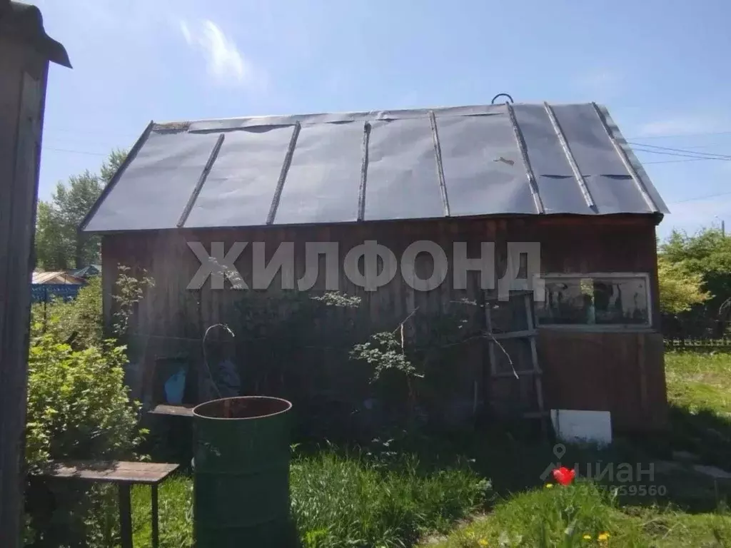 Дом в Новосибирская область, Новосибирск Ложок садовое товарищество,  ... - Фото 1