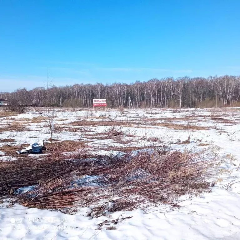 Участок в Московская область, Чехов городской округ, д. Чепелево  ... - Фото 1