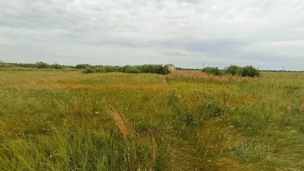 Участок в Челябинская область, Красноармейский муниципальный округ, ... - Фото 2