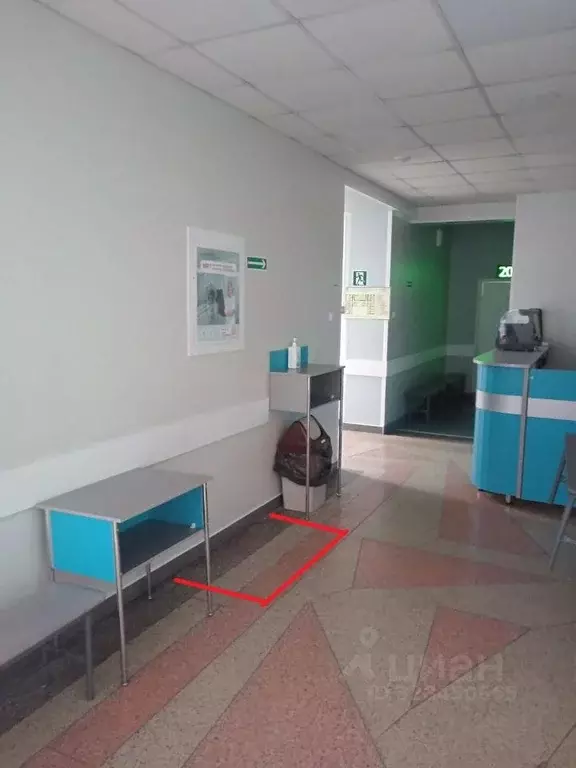 Торговая площадь в Алтайский край, Барнаул просп. Строителей, 14 (1 м) - Фото 2