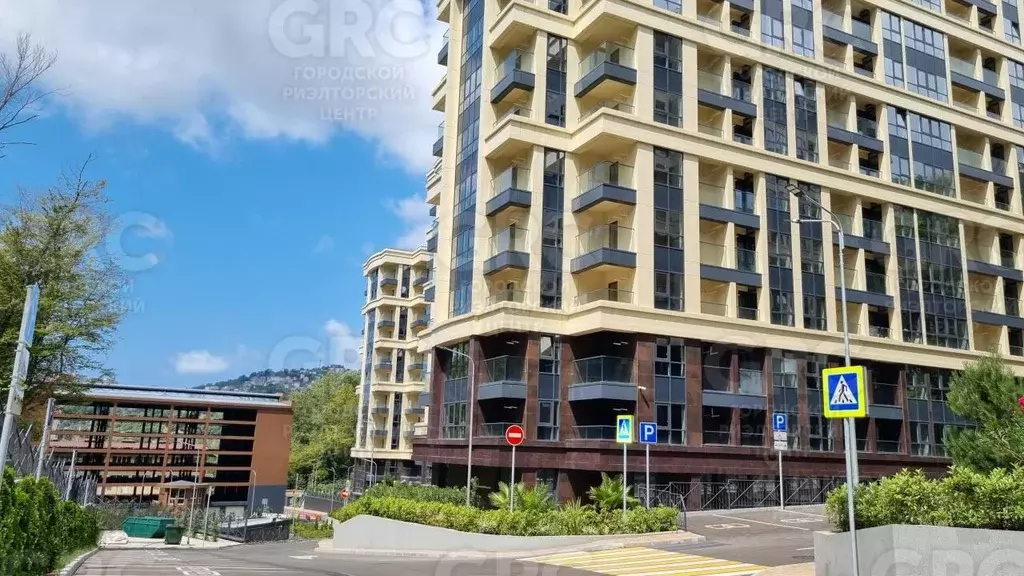 Студия Краснодарский край, Сочи Пластунская ул., 104Б (26.7 м) - Фото 1