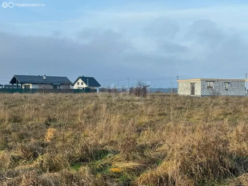 Участок в Калининградская область, Зеленоградский муниципальный округ, ... - Фото 1