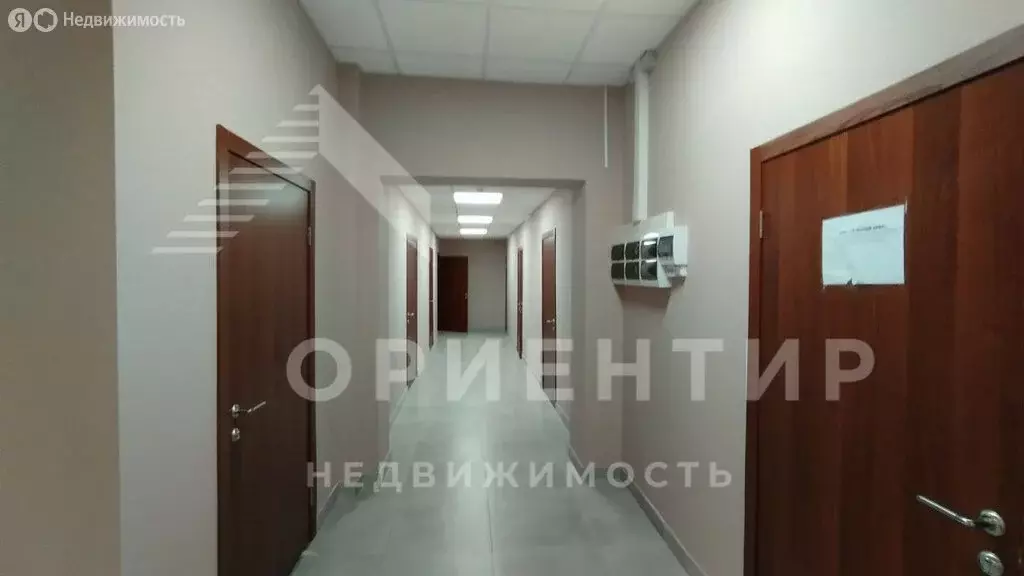 Офис (15 м) - Фото 2