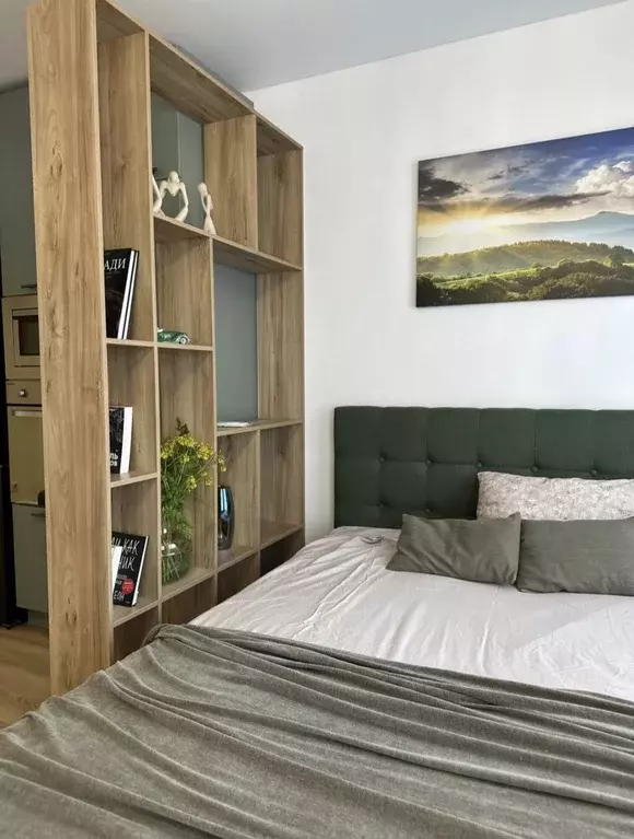 Продаётся квартира-студия, 27.3 м - Фото 1