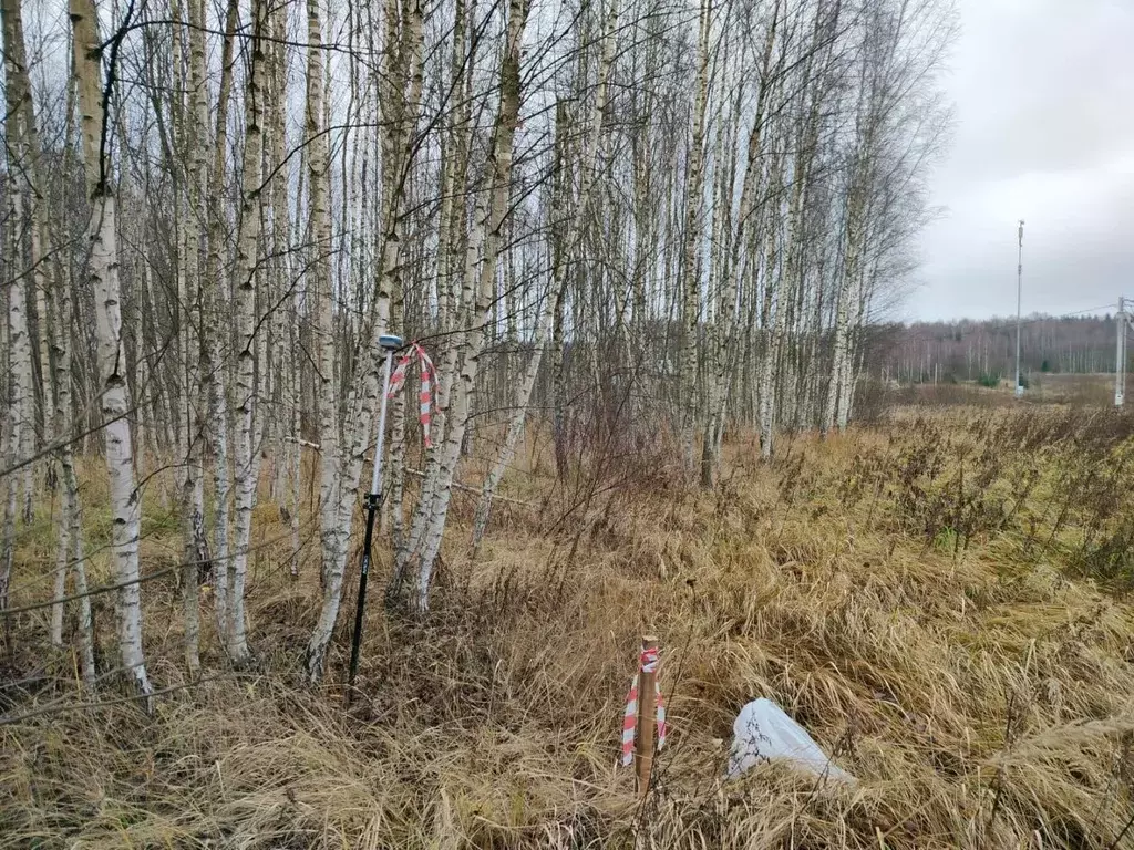 Участок в Московская область, Серпухов городской округ, д. Петровское  ... - Фото 2