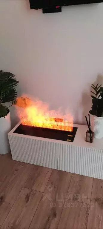 Квартира, студия, 22.5 м - Фото 1